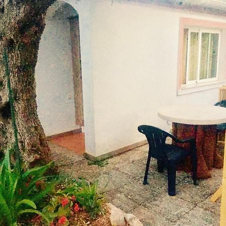 Olive Tree Apartments Rovinj Zewnętrze zdjęcie