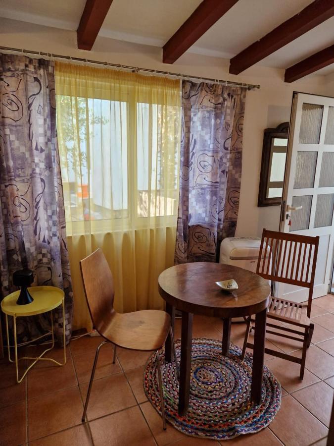 Olive Tree Apartments Rovinj Zewnętrze zdjęcie