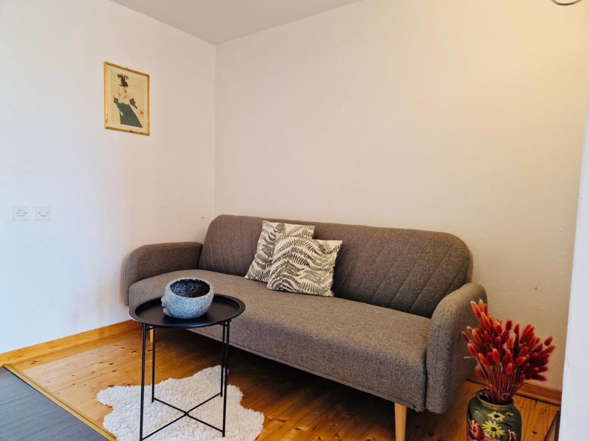Olive Tree Apartments Rovinj Zewnętrze zdjęcie